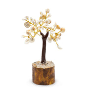 Gomati Chakra Cirkels